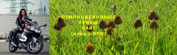 эйфоретик Покачи
