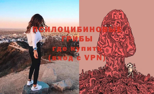 эйфоретик Покачи