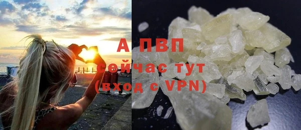 эйфоретик Покачи