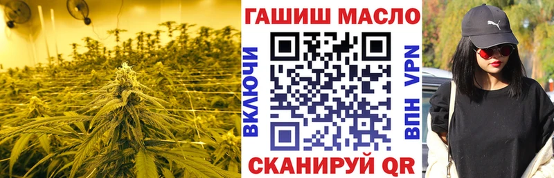 ТГК концентрат MEGA ссылка Кириллов