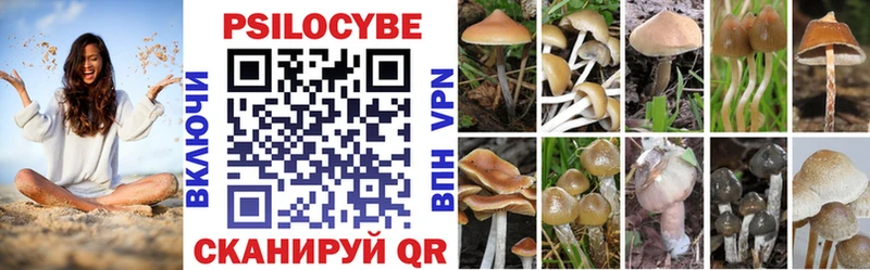площадка как зайти  цены наркотик  Кириллов  Галлюциногенные грибы мицелий 